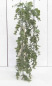 Preview: Eucalyptushaenger 2El L97cm gruen 230296-42